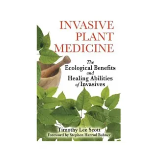 Invasive Plant Medicine: The Ecological Benefits & Healing Abilities Of Invasives