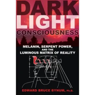 Dark Light Consciousness