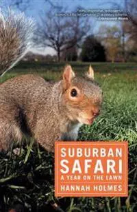 Suburban Safari