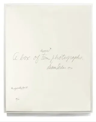 Diane Arbus: A Box of Ten Photographs