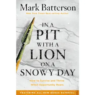 In a Pit with a Lion on a Snowy Day