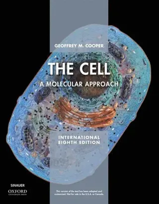 Cell