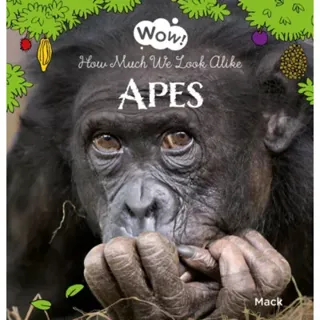 Wow! Apes. How Much We Look Alike