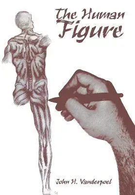 Human Figure
