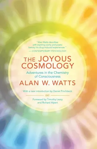 The Joyous Cosmology