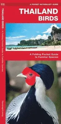 Thailand Birds