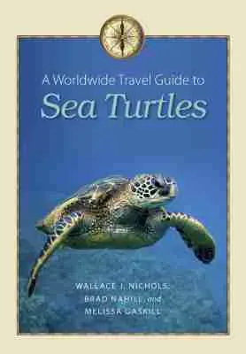 Worldwide Travel Guide to Sea Turtles