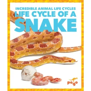 Life Cycle of a Snake