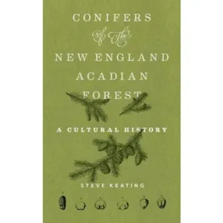 Conifers of the New England–Acadian Forest