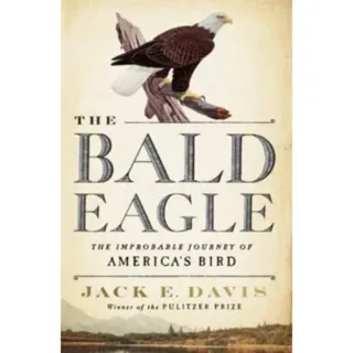 The Bald Eagle