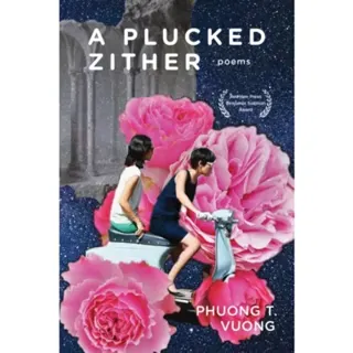 A Plucked Zither