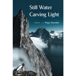 Still Water Carving Light