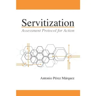 Servitization