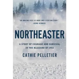 Northeaster