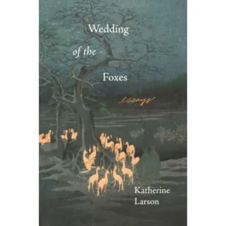 Wedding of the Foxes