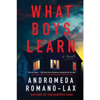 What Boys Learn