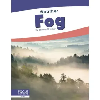 Fog