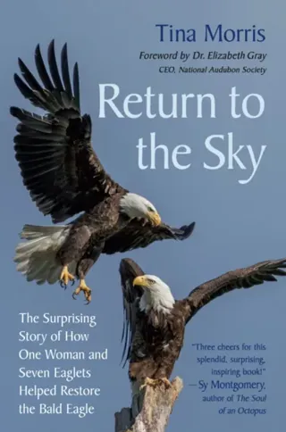 Return to the Sky