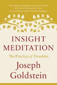 Insight Meditation