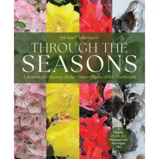 Through the Seasons