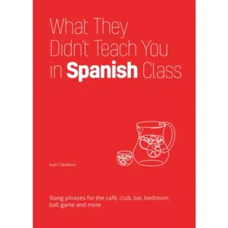 What They Didn't Teach You In Spanish Class