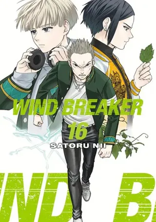 Wind Breaker 16