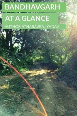 Bandhavgarh at a Glance