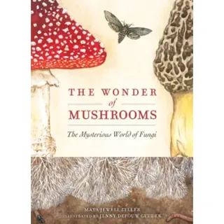 The Wonder of Mushrooms
