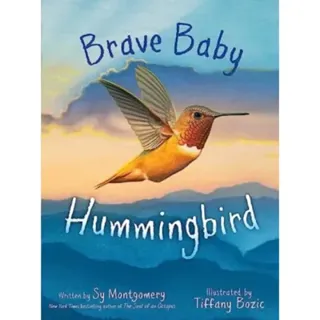 Brave Baby Hummingbird