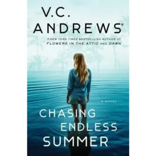 Chasing Endless Summer
