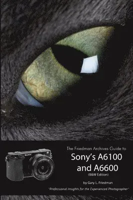 The Friedman Archives Guide to Sony's Alpha 6100 and 6600 (B&W Edition)