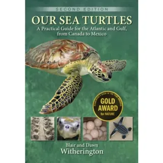 Our Sea Turtles