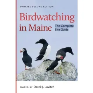 Birdwatching in Maine
