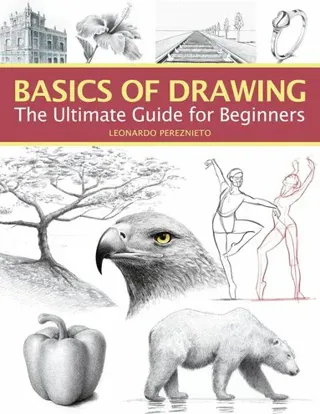 Basics of Drawing