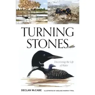 Turning Stones