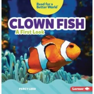 Clown Fish
