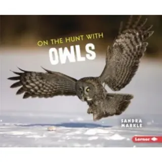 On the Hunt with Owls