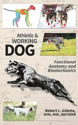 Athletic and Working Dog