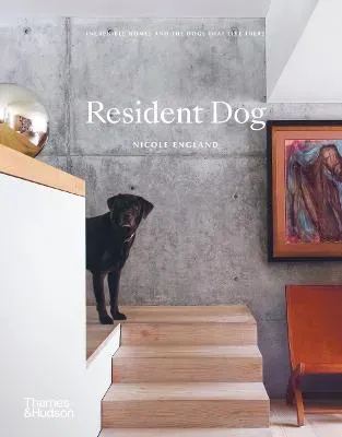 Resident Dog