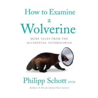 How to Examine a Wolverine