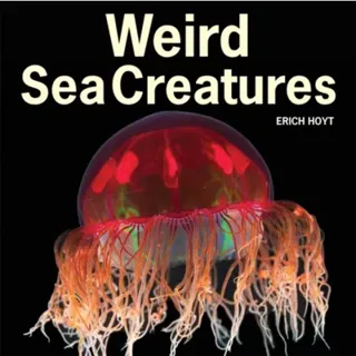 Weird Sea Creatures
