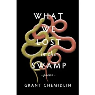 What We Lost in the Swamp