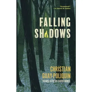 Falling Shadows