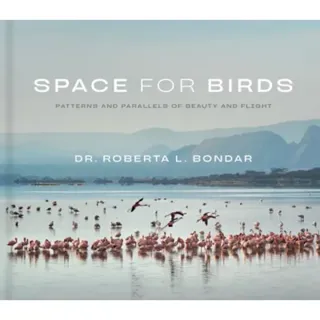 Space for Birds