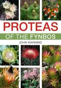 Proteas of the Fynbos