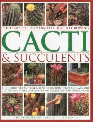 Complete illustrated guide to growing cacti & succulents - the definitive p