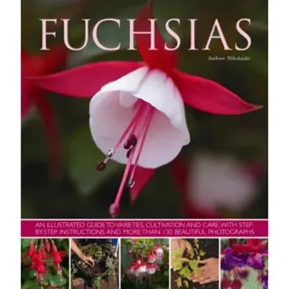Fuchsias