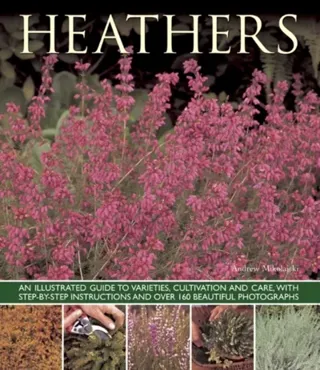 Heathers