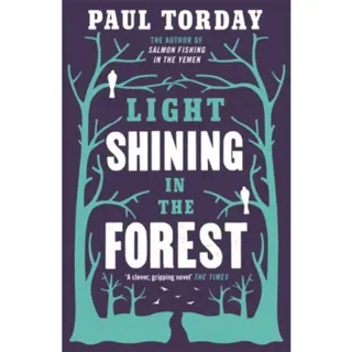 Light Shining in the Forest