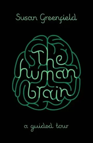 Human Brain